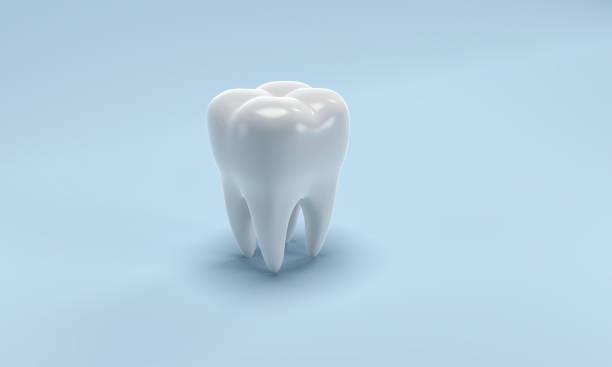 DrDalmao-Dental Equipment, Human Teeth, Model - Object, Sign, Human Mouth